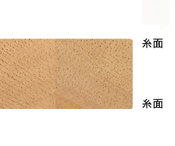 糸面(ペーパー面)断面